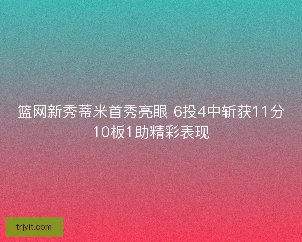 篮网新秀蒂米首秀亮眼 6投4中斩获11分10板1助精彩表现