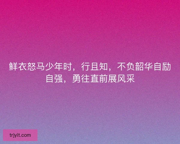 鲜衣怒马少年时，行且知，不负韶华自励自强，勇往直前展风采
